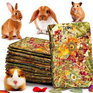 Grembeb Rabbit Chew Toys for Small Pets-0