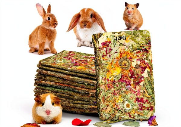 Grembeb Rabbit Chew Toys for Small Pets-0