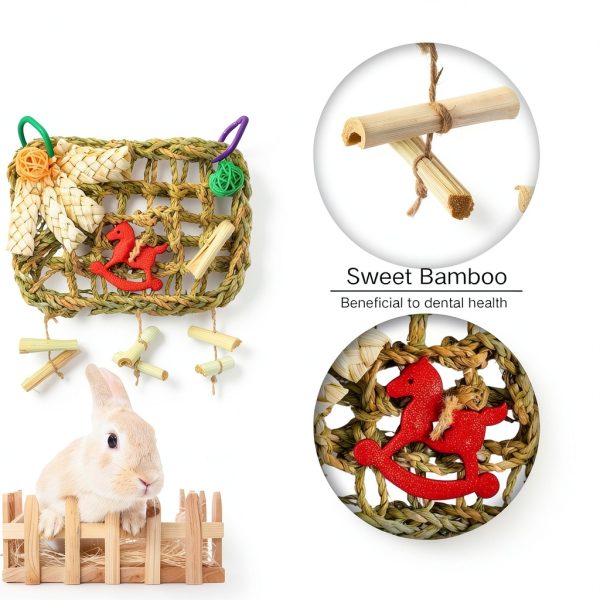 Rabbit Chew Toys by XLpeixin Pet Supplies-4