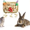 Rabbit Chew Toys by XLpeixin Pet Supplies-1