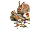 Grembeb Rabbit Chew Toys for Small Pets-2