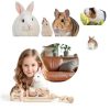 AOWPFVV Hamster Chew Toy Natural Wood Small Animal-5
