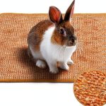 Mooydee Bunnymat Natural Sisal Rabbit Scratch Mat-0