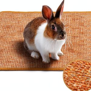 Mooydee Bunnymat Natural Sisal Rabbit Scratch Mat-0