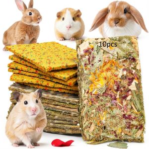 Rabbit Crispy Treats NSWXZDS Small Animal Toy 2in1-0