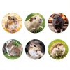 Peach Wood Chew Sticks Jorewood Extra‑Hard Pet-6