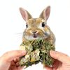 Grembeb Rabbit Chew Toys for Small Pets-5