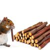 Petawi Apple Chew Sticks Small Animal Dental Toy-2