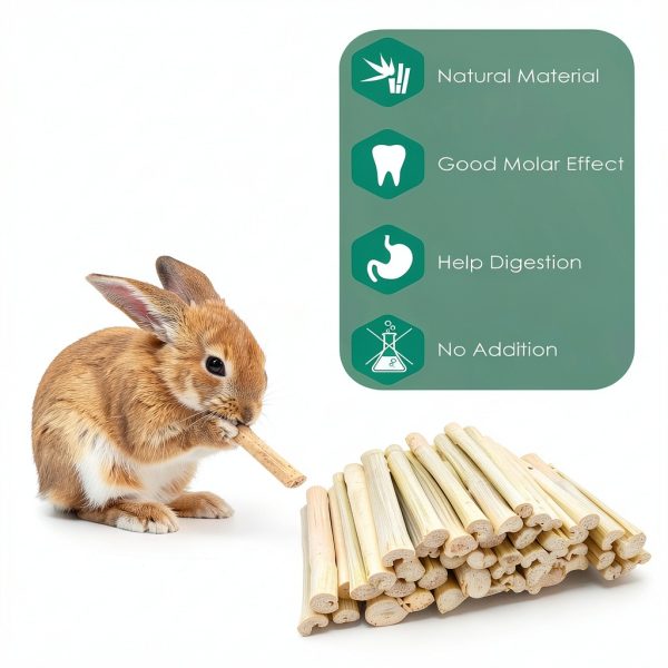 XLpeixin Bamboo Chew Sticks 300g for Small Pets Dental Treats-1