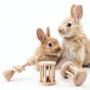 Wooden Rabbit Chew Toy AOWPFVV Small Animal Safe Polished Multi‑Size-2