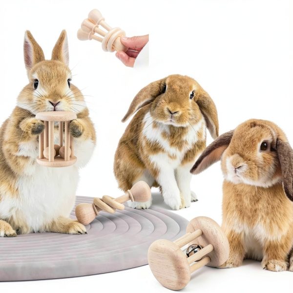 Wooden Rabbit Chew Toy AOWPFVV Small Animal Safe Polished Multi‑Size-3