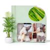 XLpeixin Bamboo Chew Sticks 300g for Small Pets Dental Treats-4