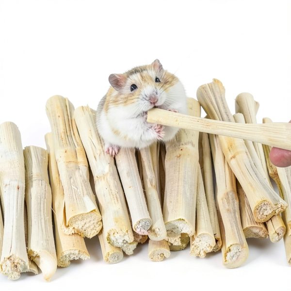 XLpeixin Bamboo Chew Sticks 300g for Small Pets Dental Treats-7