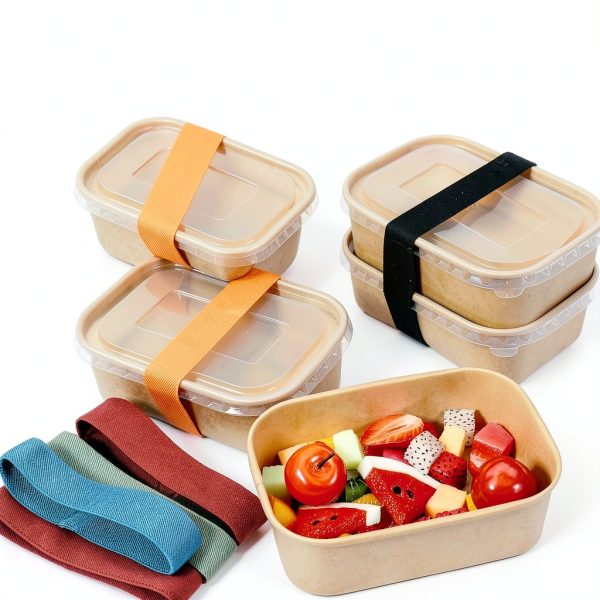 Thinp 6 Pcs Bento Box Elastic Belt Multicolored Replacement Straps-5